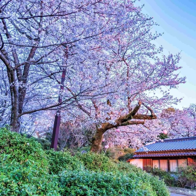 菊池渓谷温泉（熊本県）★★★★★ 九州屈指の景勝地・菊池渓谷沿いにある静かな温泉